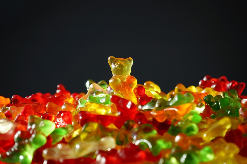 gold-bear-gummi-bears-bear-yellow-55825 (1).jpg